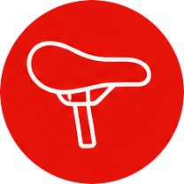 Cycle Seats